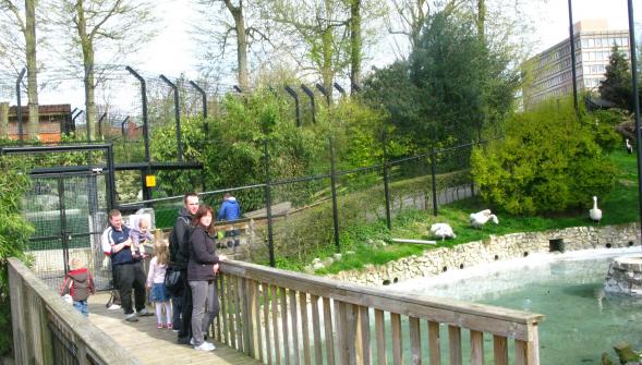 Au zoo de Maubeuge la volière d'immersion accueille ses premiers visiteurs