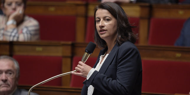 Duflot accuse Hollande d'avoir orchestré  l'assassinat  du groupe écologiste à l'Assemblée