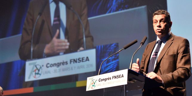 La FNSEA dénonce un retard de 2 milliards d'euros dans le versement des aides européennes
