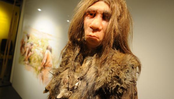 Non notre cousin l'homme de Néandertal n'était pas qu'une brute , il explorait des grottes avant nous
