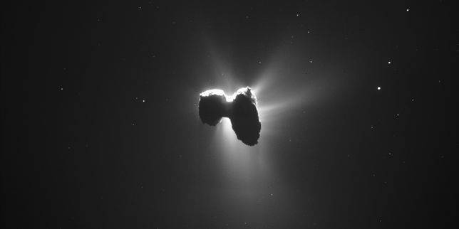 Rosetta détecte de la glycine dans la queue de la comète  Tchouri 