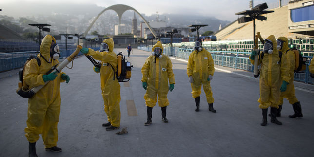 Zika , 150 experts pour le report ou le déplacement des Jeux de Rio