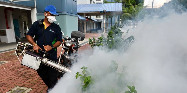 Zika , un tiers de l'humanité vit dans des zones à risque